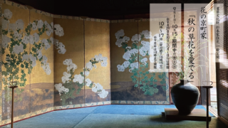 202309一般公開ビジュアル期間